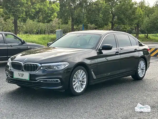 BMW 5 Series New Energy 2019