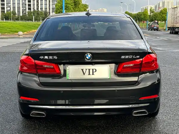BMW 5 Series New Energy 2019