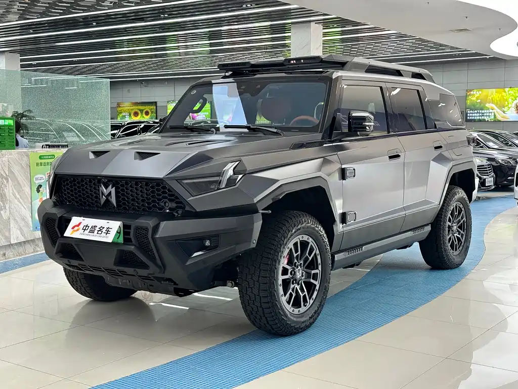 Mengshi 917 2026