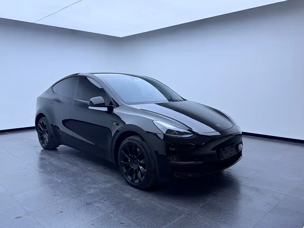 Tesla Model Y 2023 — фото 6