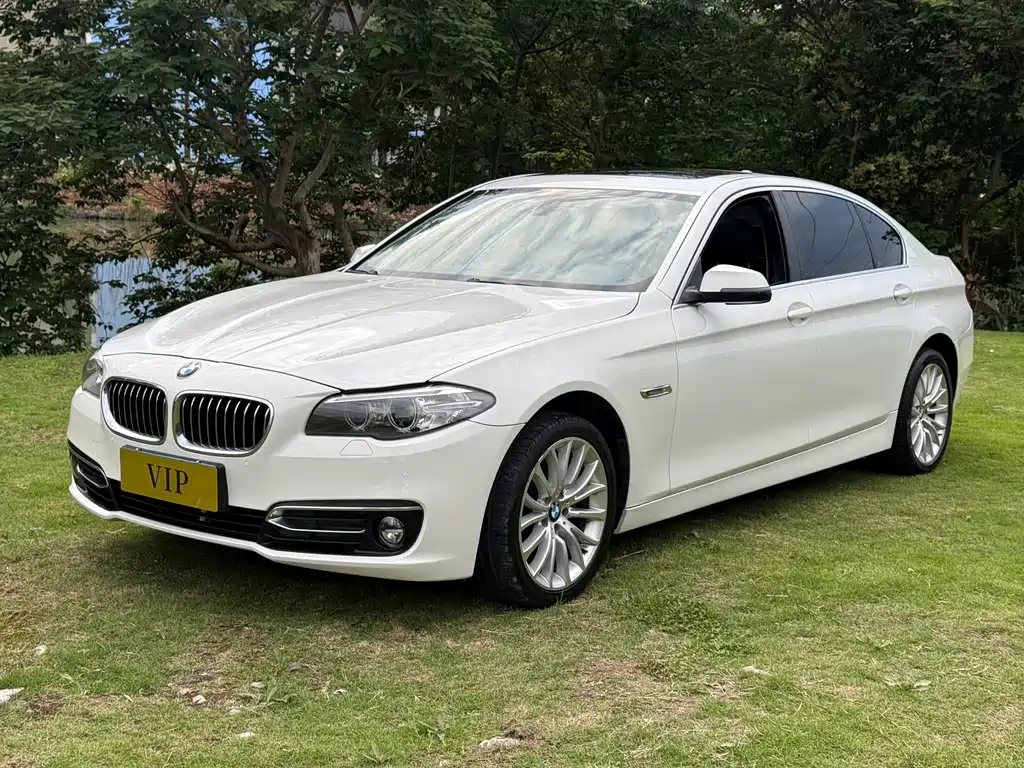 BMW 5 Series 2014 — фото 1