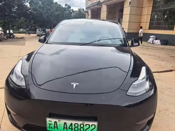 Tesla Model Y 2021