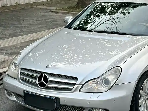 Mercedes-Benz CLS 2010
