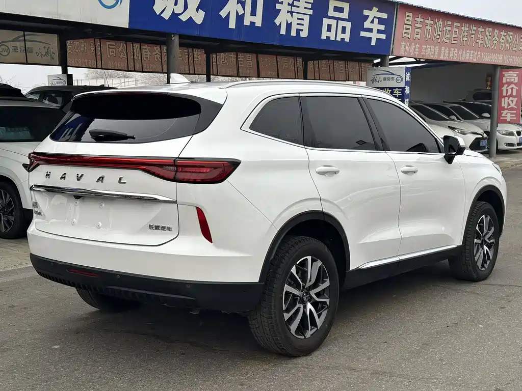 Haval H6 2023 — фото 9