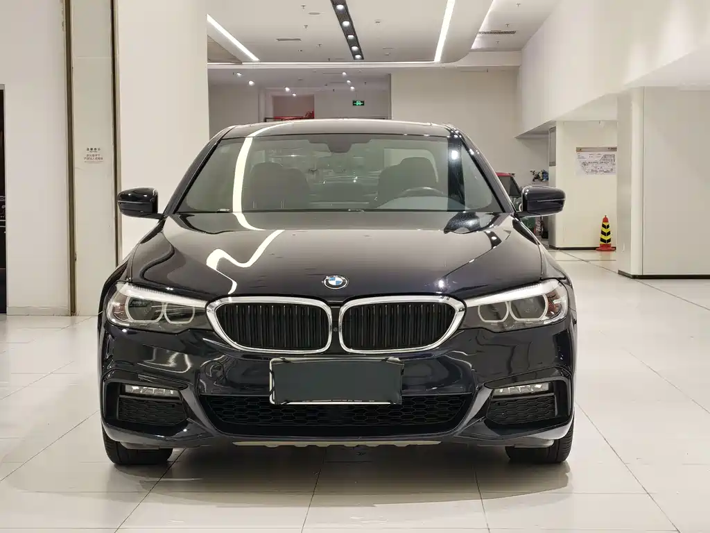BMW 5 Series 2019