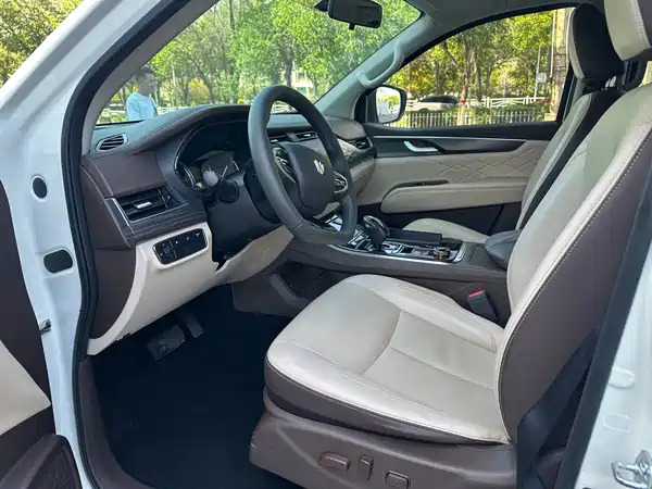 Dongfeng Paladin 2024