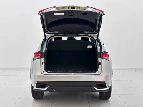 Lexus NX 2021