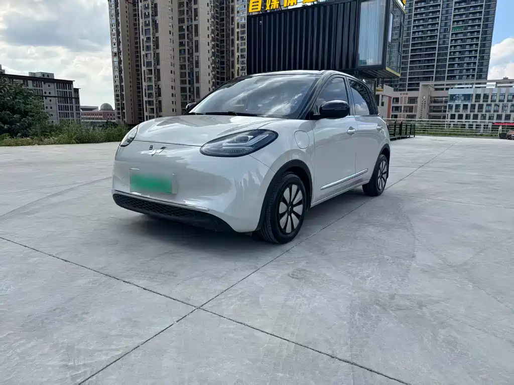 Wuling Bingo 2024