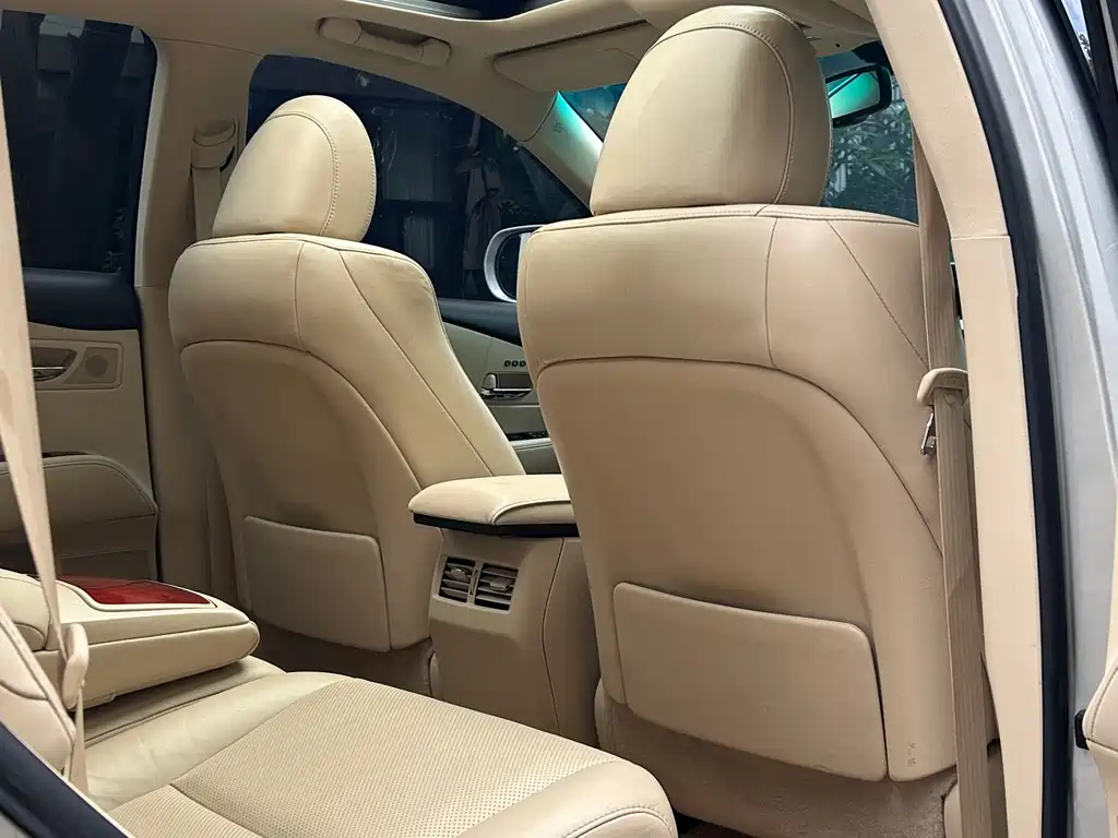 Lexus RX Classic 2010 — фото 13