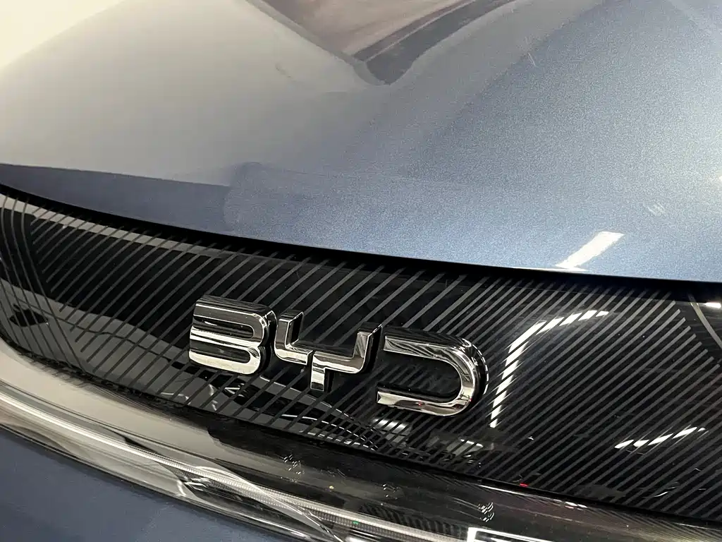 BYD Dolphin 2024 — фото 15