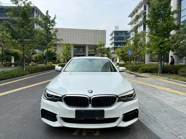 BMW 5 Series 2019