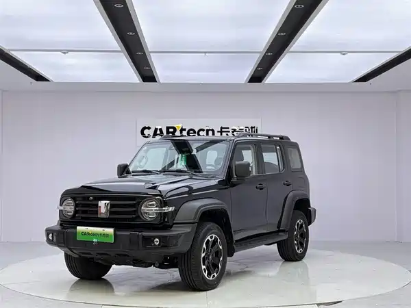 Tank 300 New Energy 2025