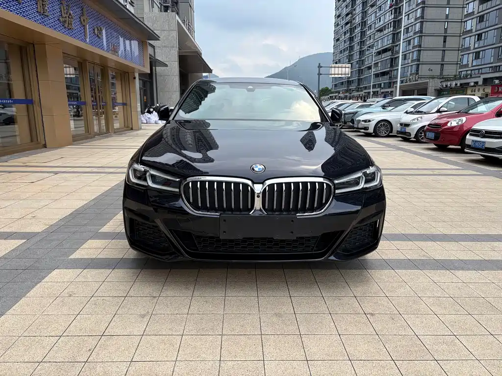 BMW 5 Series 2021