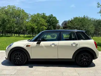 MINI MINI 2015
