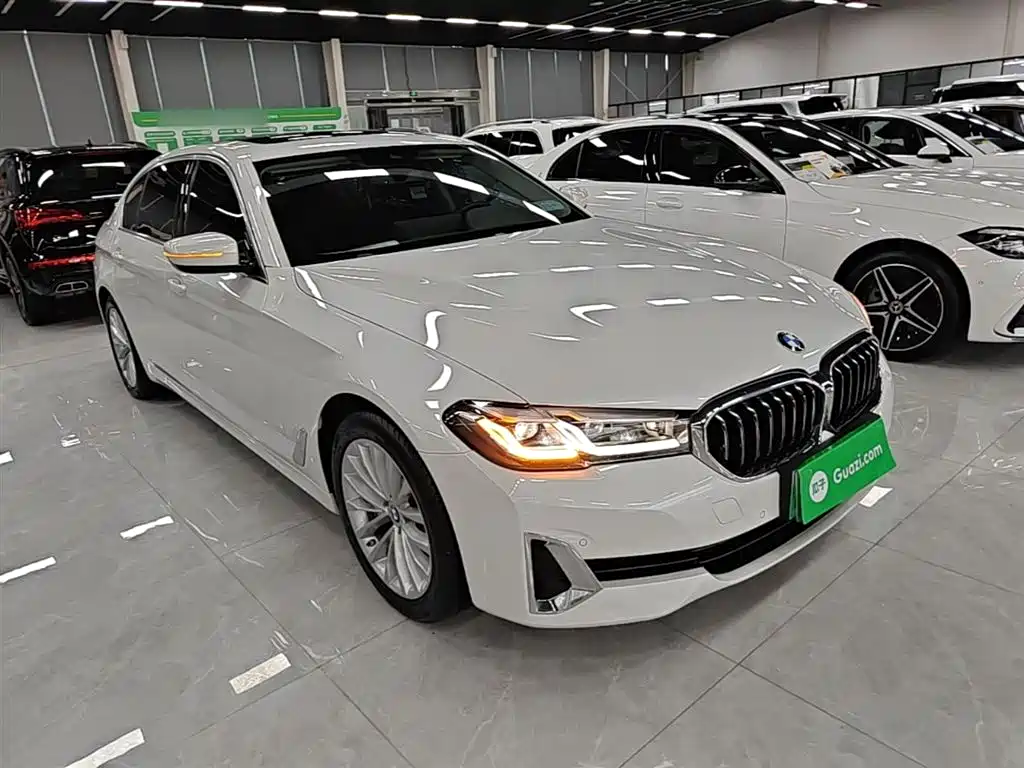 BMW 5 Series New Energy 2021 — фото 4