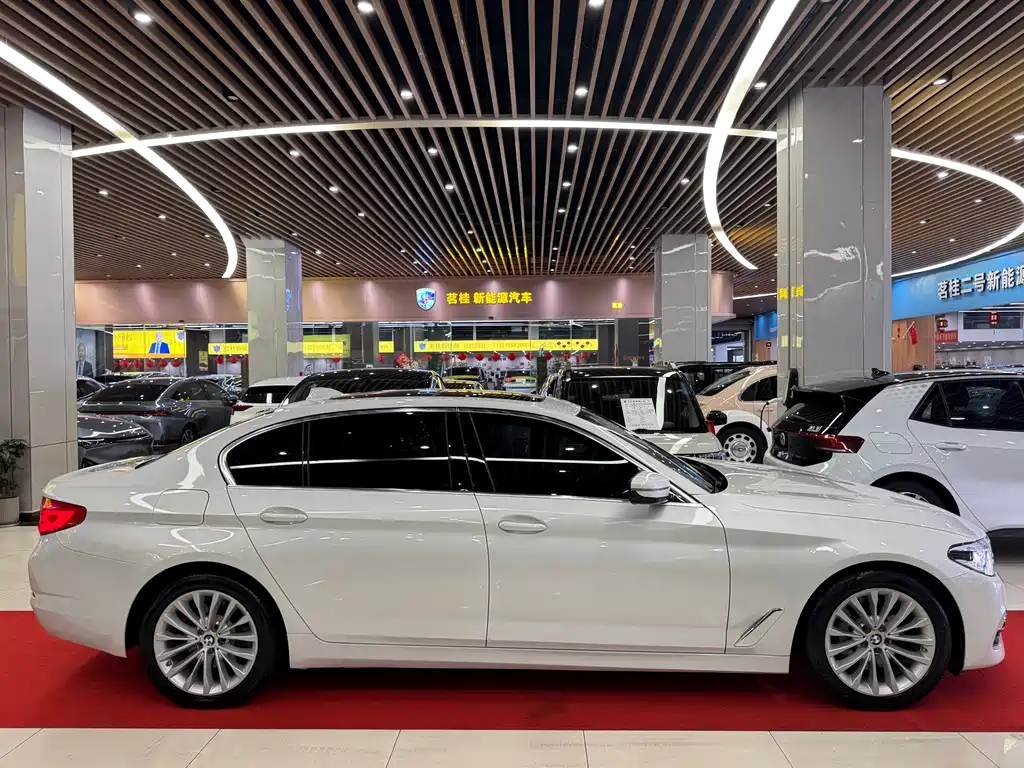 BMW 5 Series New Energy 2020