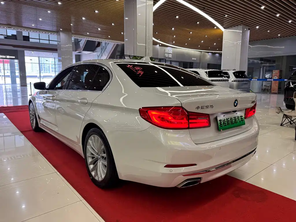 BMW 5 Series New Energy 2020