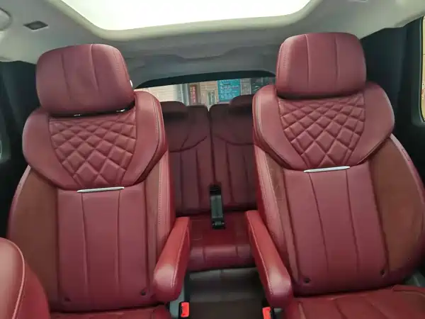Hongqi E-HS9 2021