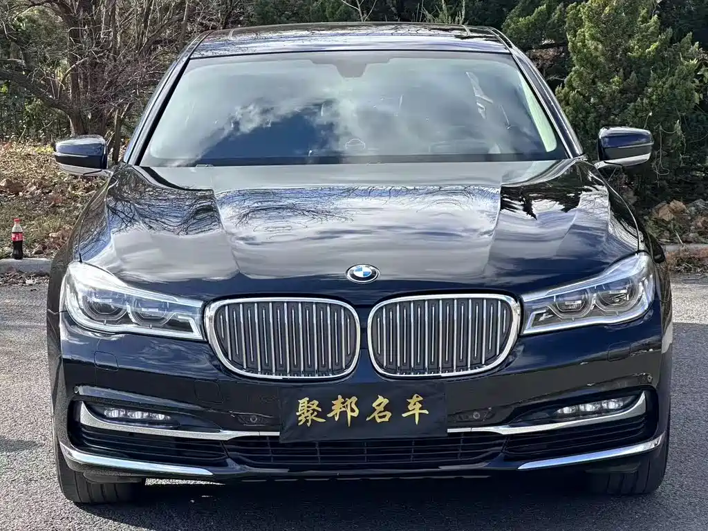 BMW 7 Series 2017 — фото 14