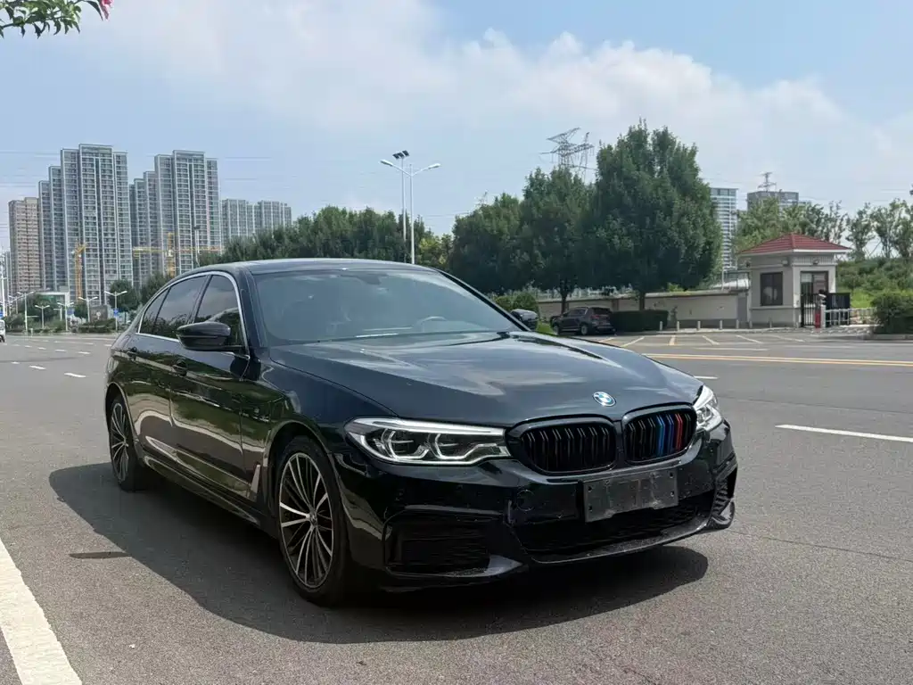 BMW 5 Series 2019