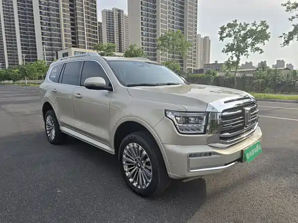 Tank 500 New Energy 2024