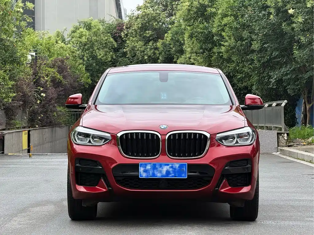BMW X4 2021 — фото 2