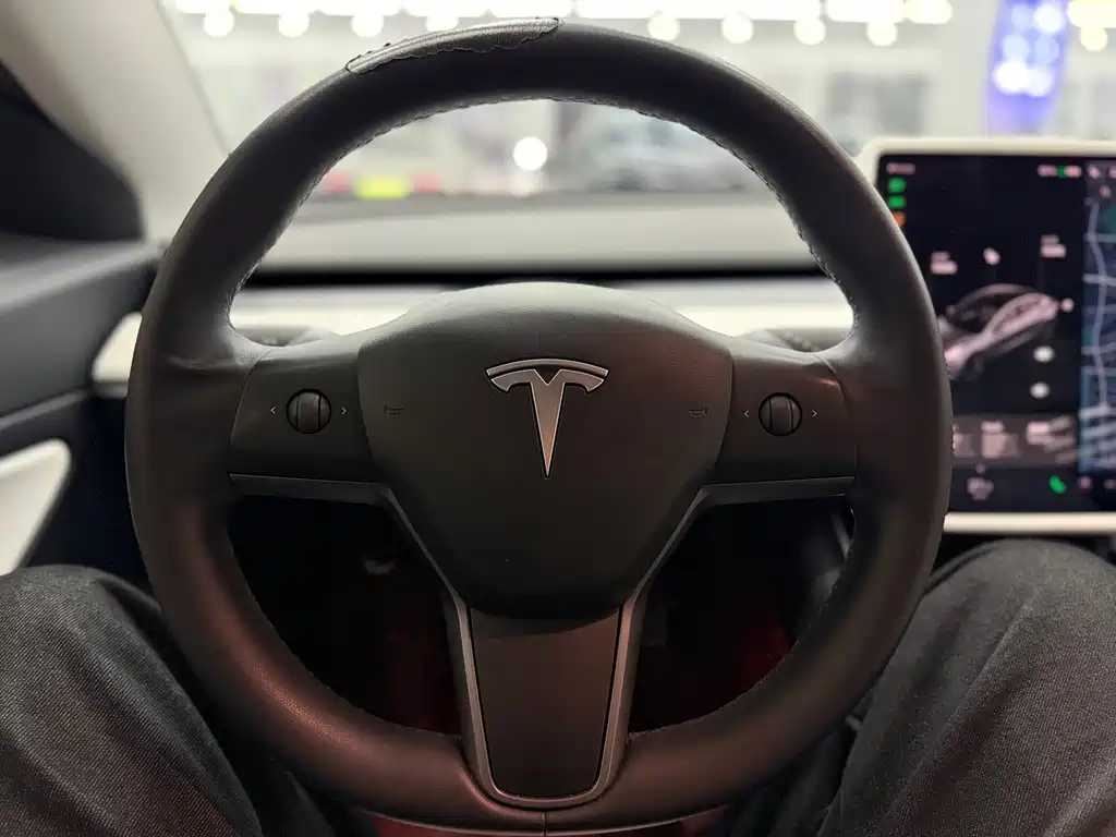 Tesla Model 3 2020 — фото 13