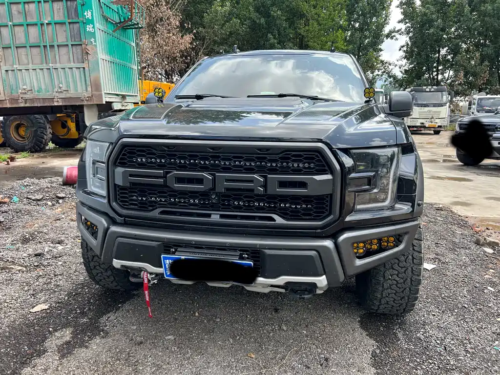 Ford F-150 Raptor 2019 — фото 2