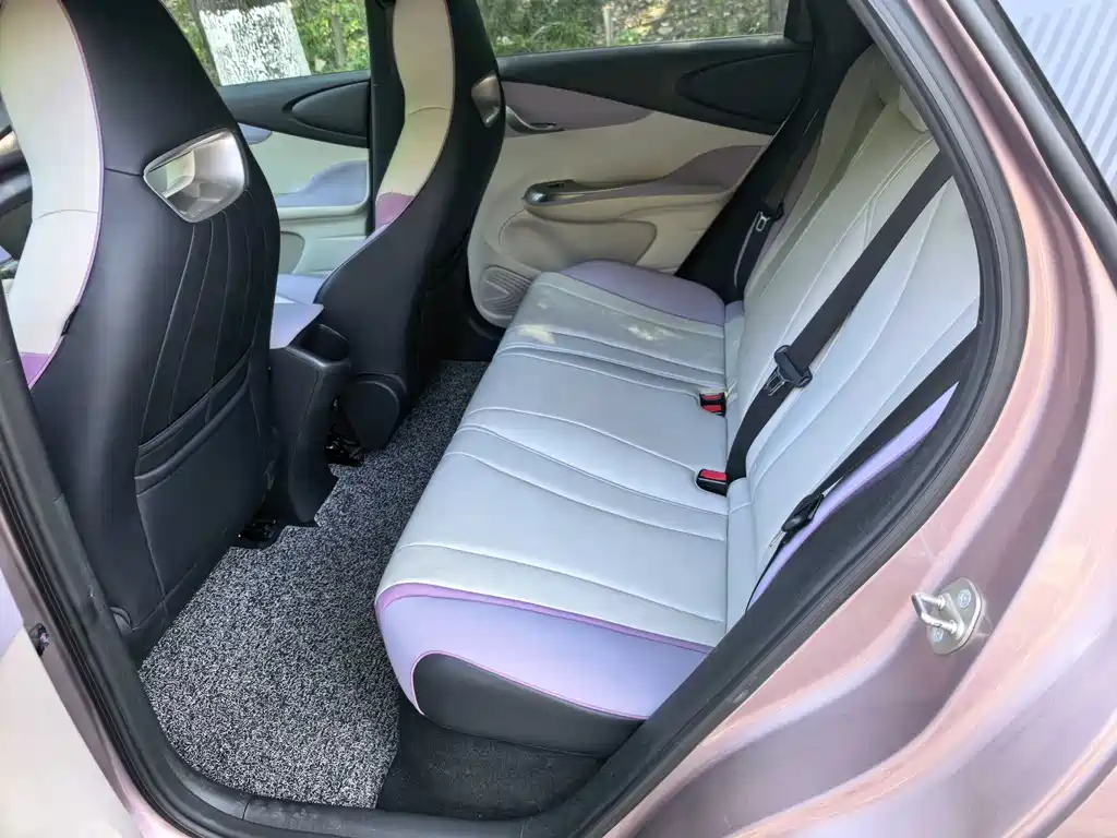 BYD Dolphin 2022