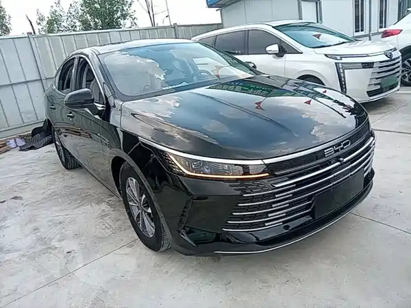 BYD Destroyer 05 2024