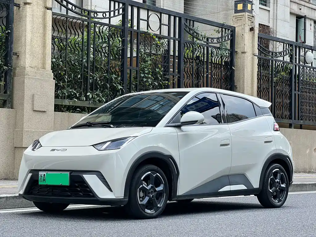 BYD Seagull 2024