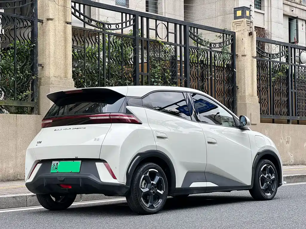 BYD Seagull 2024