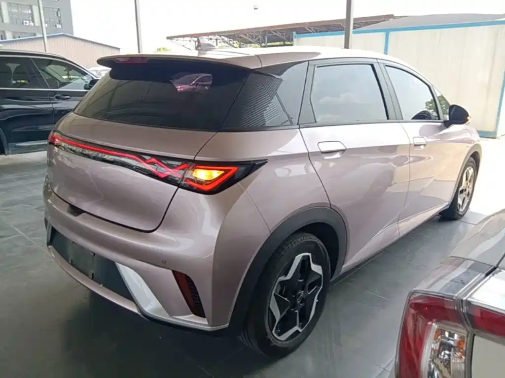 BYD Dolphin 2022