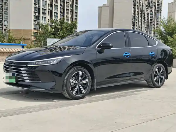 BYD Destroyer 05 2024