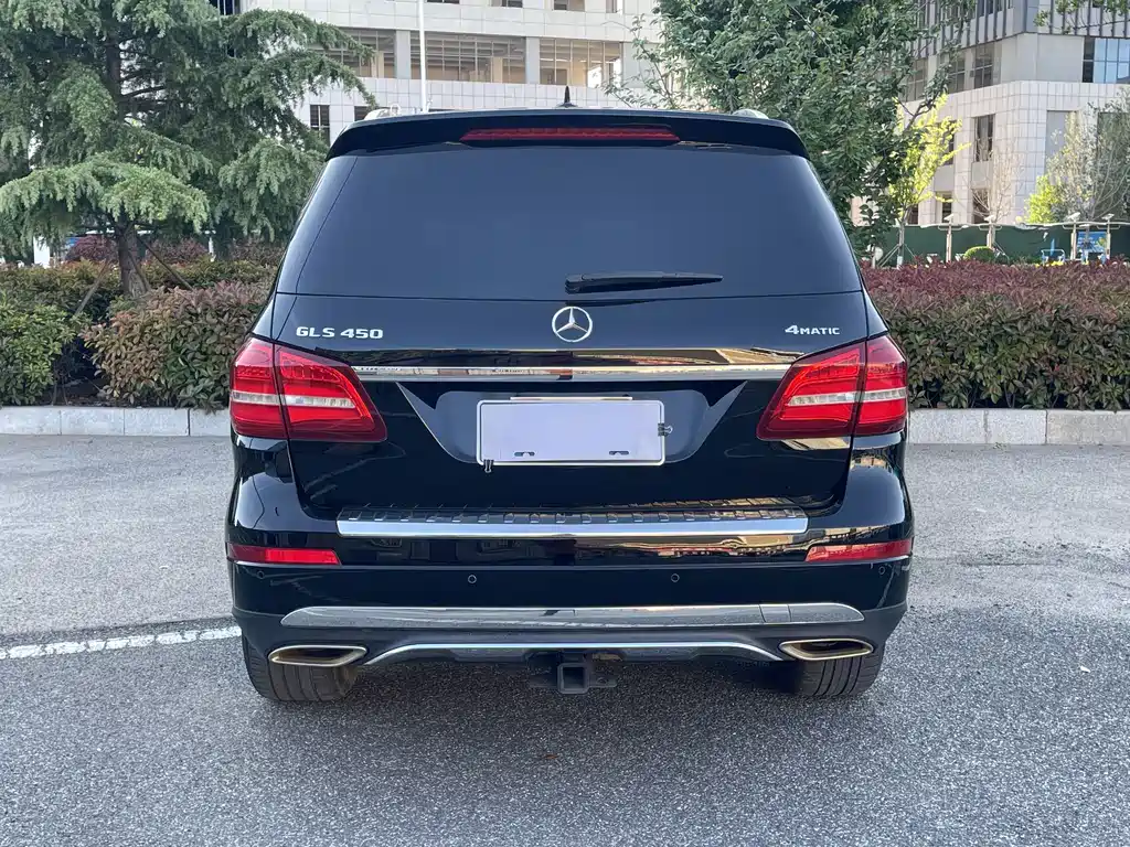 Mercedes-Benz GLS 2019 — фото 8