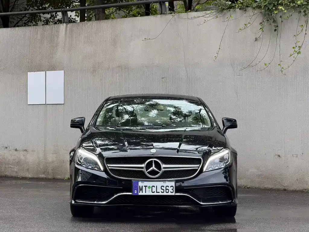 Mercedes-Benz CLS 2013 — фото 2