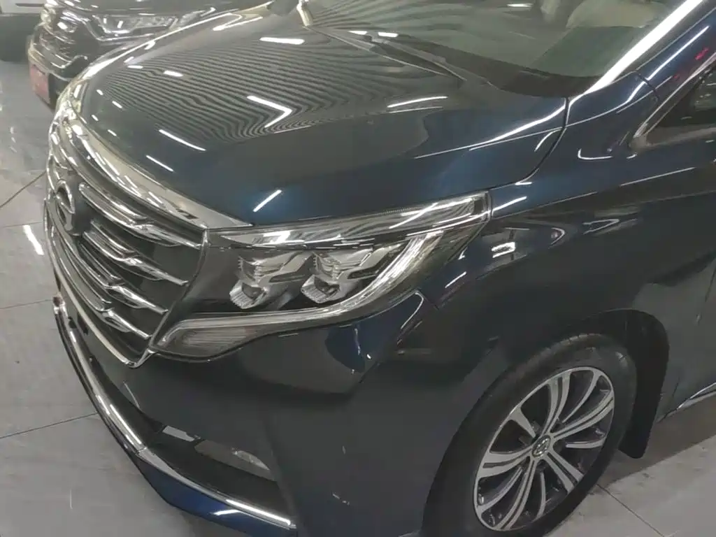 GAC Trumpchi M8 2018 — фото 24