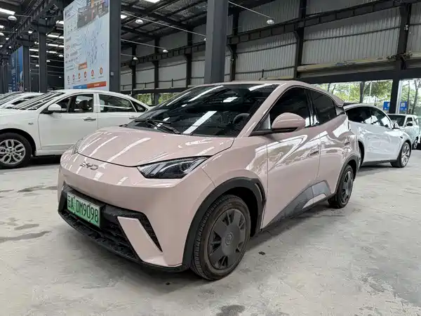 BYD Seagull 2025