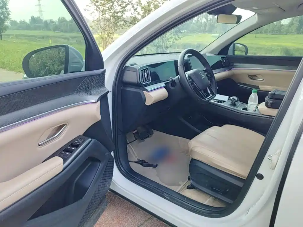 BYD Song Pro New Energy 2025 — фото 16
