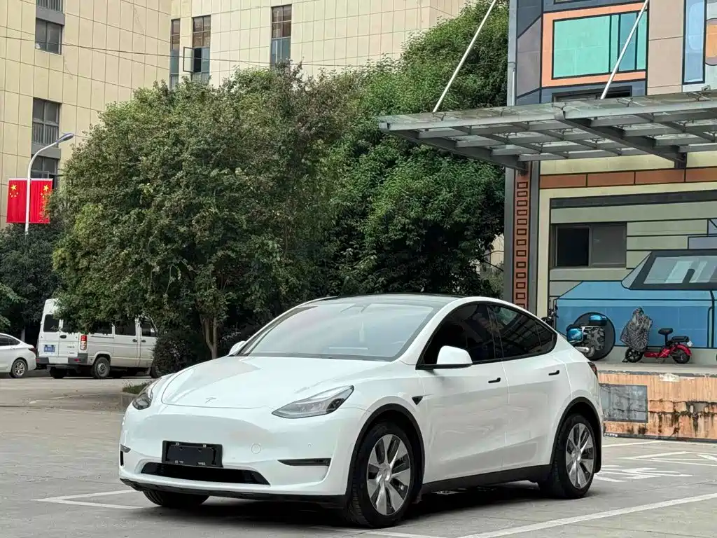 Tesla Model Y 2021 — фото 1