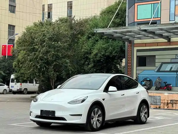 Tesla Model Y 2021