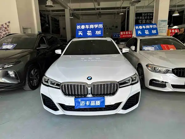 BMW 5 Series 2021