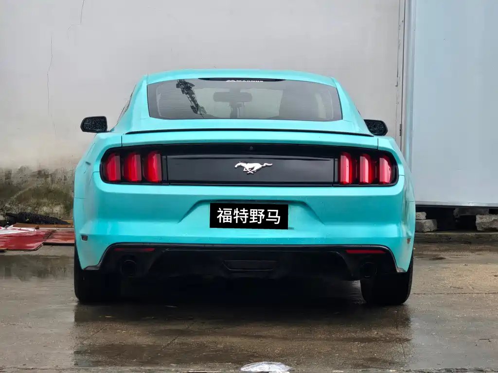 Ford Mustang 2017 — фото 13