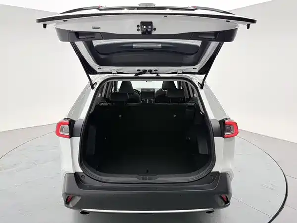 Toyota Wildlander 2024
