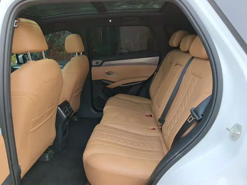 BYD L DM-i 2024 — фото 17