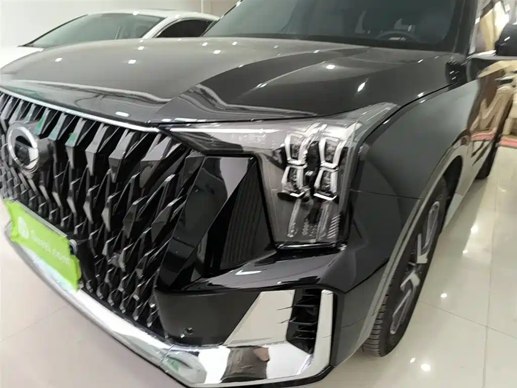 GAC Motor Trumpchi GS8 2023 — фото 24