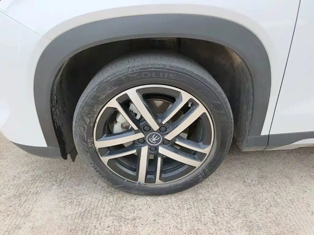 BYD L DM-i 2024 — фото 23
