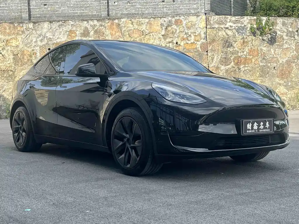 Tesla Model Y 2024 — фото 3