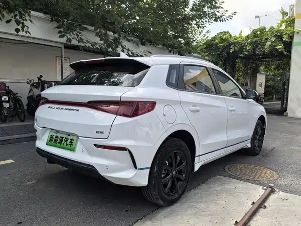 BYD e2 2021
