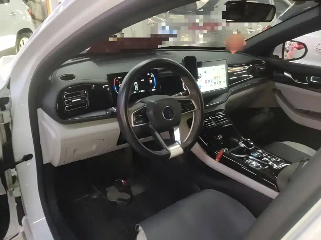 BYD Qin PLUS 2023 — фото 10